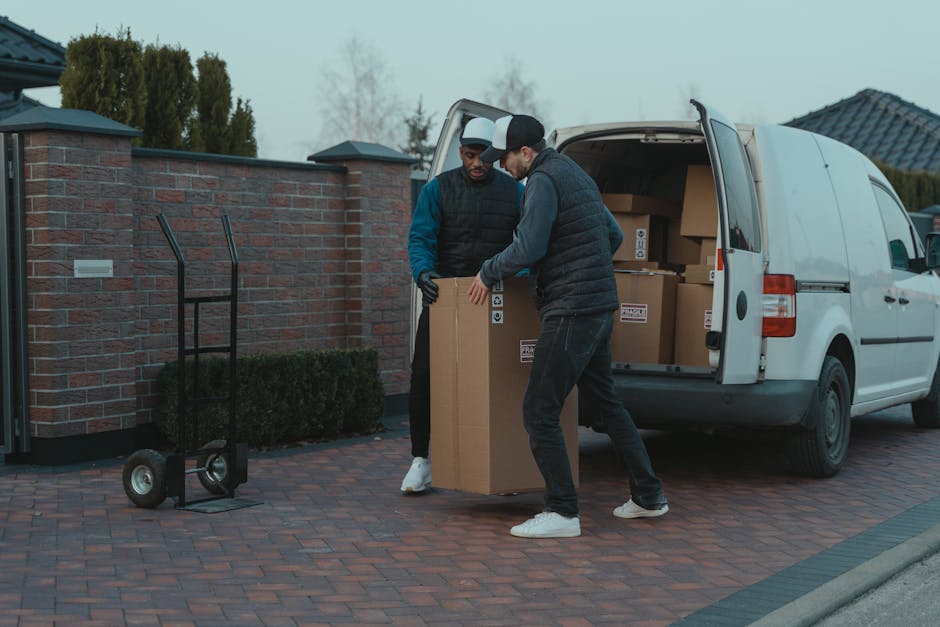 Two men are involved in a home relocation process, loading a large cardboard box onto a trolley in front of a white moving van parked on a brick driveway. One man, dressed in a blue jacket and black trousers, is inside the van, passing the box to a second man wearing a black puffer vest, grey hoodie, and dark jeans. The van's rear doors are open, revealing several packed cardboard boxes inside secure with labels, indicating an organized packing and moving process. Nearby, a black hand pallet truck is positioned on the driveway, ready for loading or unloading furniture or larger household items. The scene takes place outside a residential property with a brick wall, shrubbery, and a house with dark roofing visible in the background under cloudy lighting conditions. The image captures the organized logistics involved in furniture transport and professional removal services provided by Man with Van Eltham, supporting efficient and safe house removals.